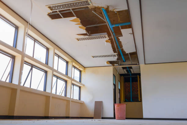 Best Flooded house restoration  in Salem, AR