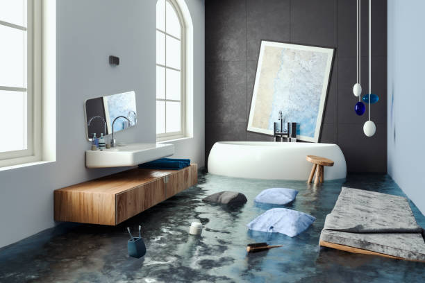 Best Basement water damage restoration  in Salem, AR