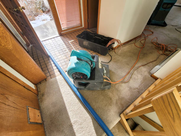 Best Flood damage cleanup  in Salem, AR
