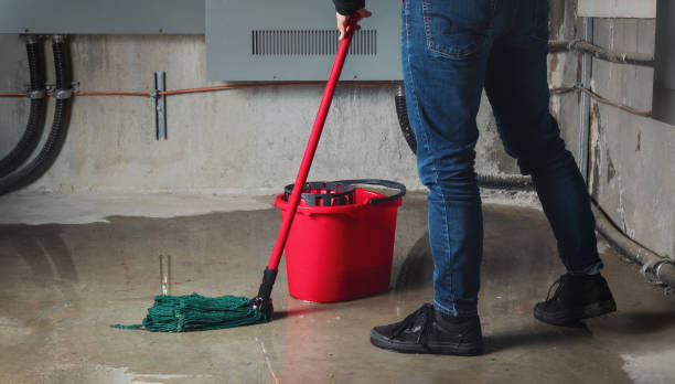 Best 24/7 water damage repair  in Salem, AR