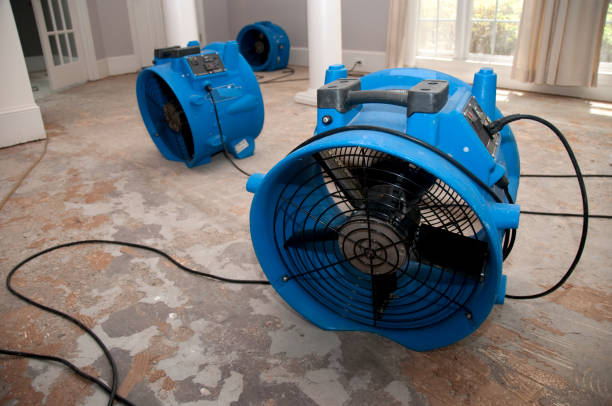 Best Residential water damage restoration  in Salem, AR