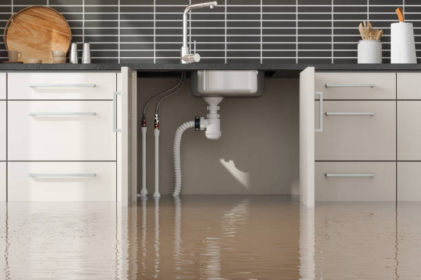  Salem, AR Water damage restoration Pros