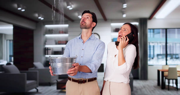 Best Professional water damage repair  in Salem, AR